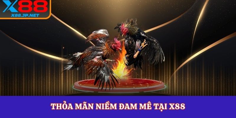 Thỏa mãn niềm đam mê tại X88
